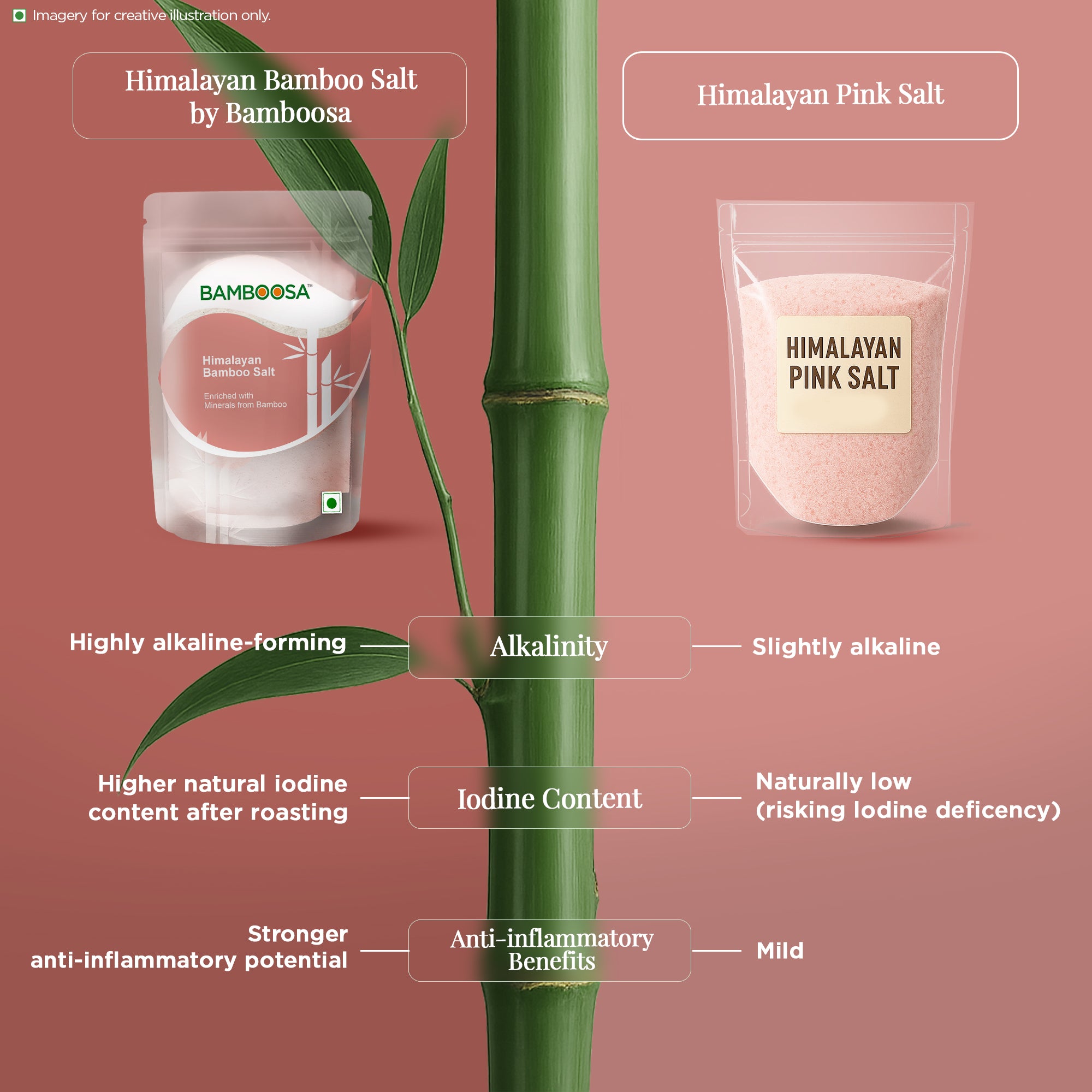 Himalayan Bamboo Salt